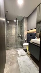 Irwell Hill Residences (D9), Apartment #554540261